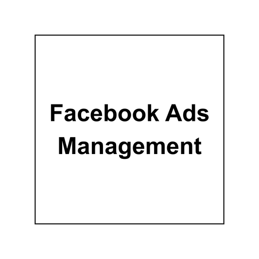 Facebook Ads Monthly Management